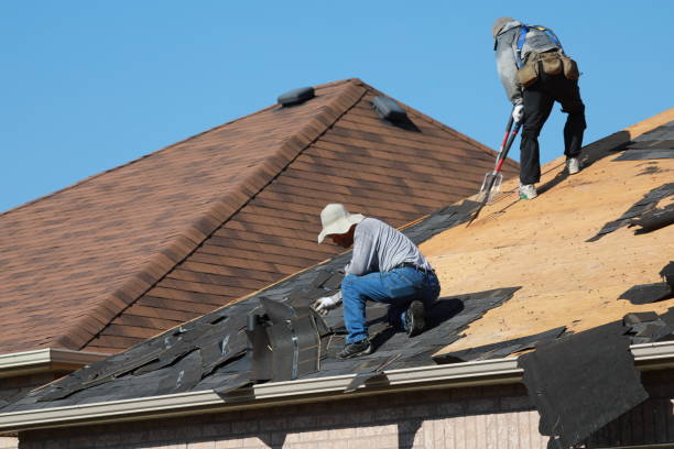 Best Roof Installation  in Indian River, MI