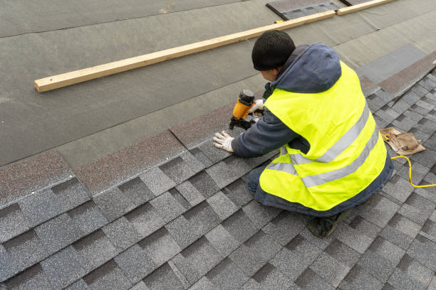 Best Roof Insulation Installation  in Indian River, MI