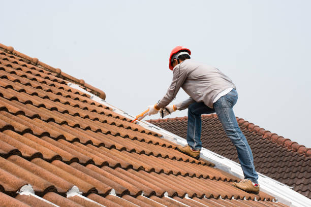 Best Skylight Installation and Repair  in Indian River, MI